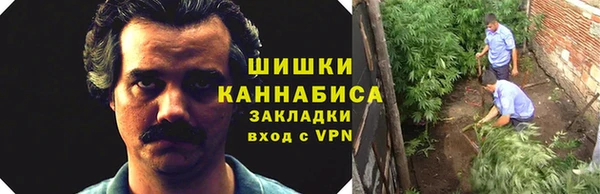 крисы Абдулино