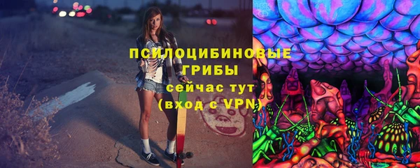 гидра Абаза