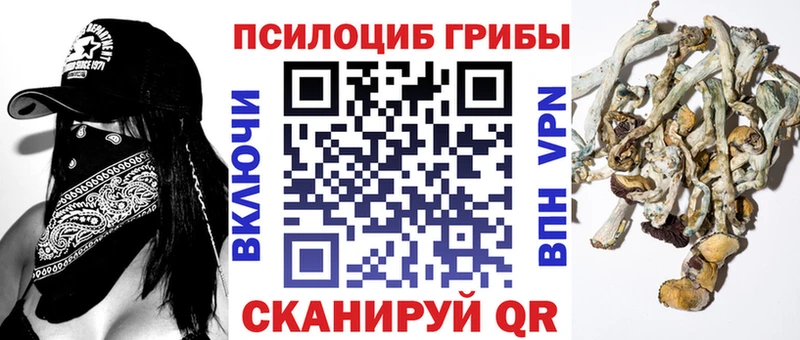 где можно купить наркотик  kraken вход  Галлюциногенные грибы прущие грибы  Россошь 
