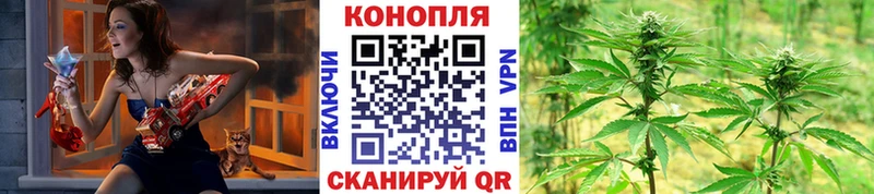 где найти наркотики  Россошь  Бошки марихуана Amnesia 